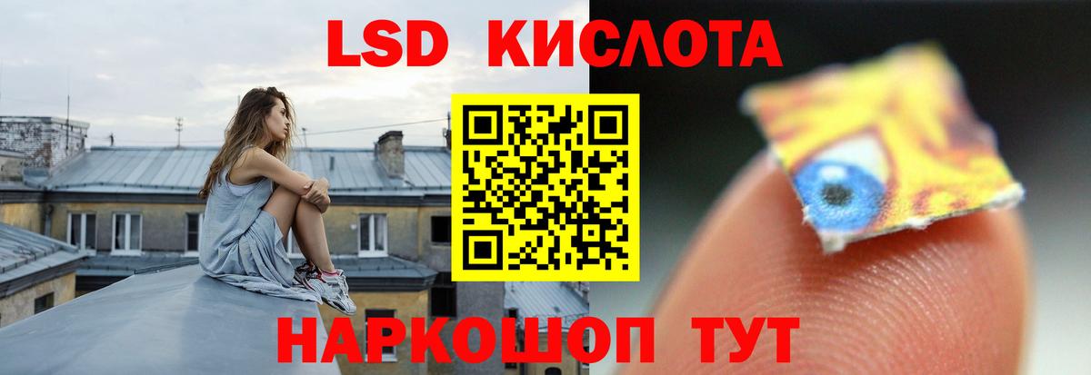 Светлоград  Лсд 25 экстази кислота  Лсд 25 экстази кислота  LSD-25 экстази  Вход с VPN 