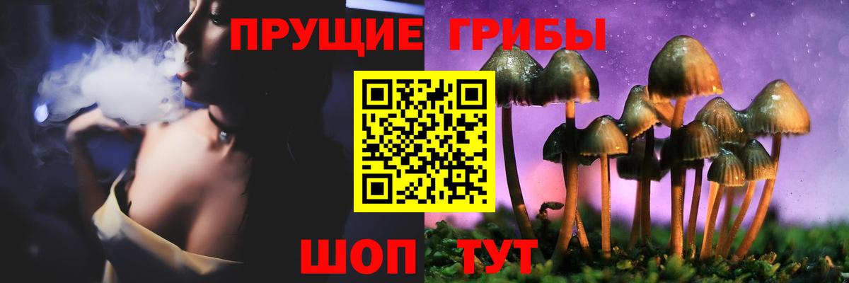 Светлоград  Псилоцибиновые грибы GOLDEN TEACHER  Псилоцибиновые грибы GOLDEN TEACHER  Вход с VPN 